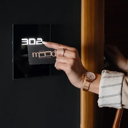 Mood 치타 산트  안젤로